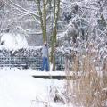 Zeesener Badestelle im Winter (tn_100_3984.jpg) Zeesner See im Landkreis Dahme Spreewald